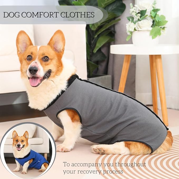 Dog Surgery Recovery Suit,Abdominal Surgical Suit for Dogs,Recovery Suit for Dogs,Prevent Licking Surgical Wound Dog Cone Alternative Grey L-PawvioPets