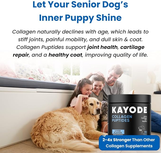 Collagen Puptides - Collagen for Dogs | Premium Dog Joint Supplement | 2X The Amount As Liquid Droppers | Great for Senior & Adult Dogs. Includes Omega 3.-PawvioPets
