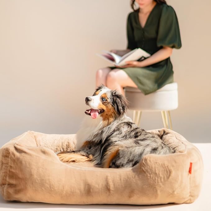 FUZI Luxury Aesthetic Dog Bed for Small Dogs with Washable Cover, Pet Couch, Pet Bed with Sides, Non-Slip Bottom, Soft and Durable Calming Dog Bed, Faux Rabbit Fur, Small 25.1x16.75x9.5 Light Brown-PawvioPets