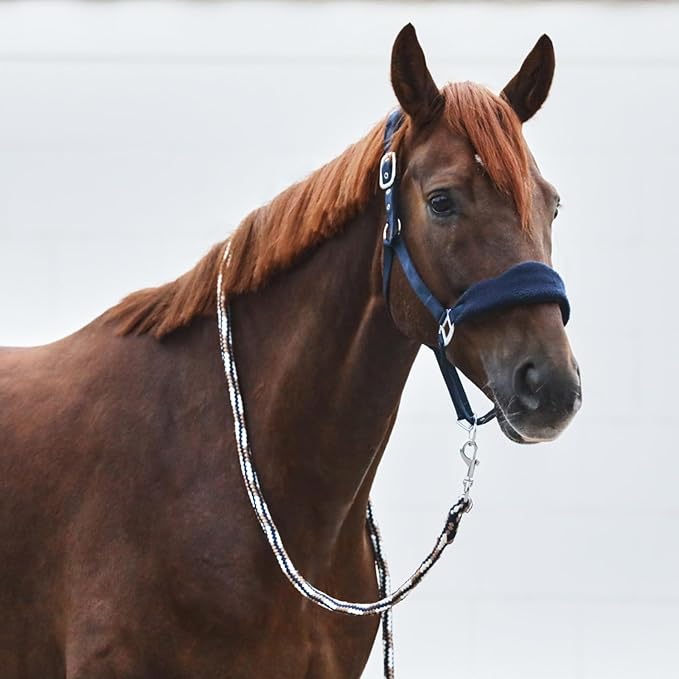 HORZE Kiel Adjustable Horse Halter with Fleece Padding - Dark Navy - Pony-PawvioPets