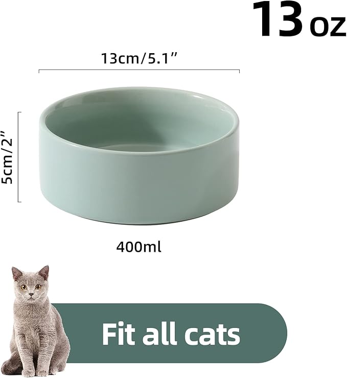 Ceramic Set of 2 Cat Bowls, Food and Water Bowls for Cats, Kitty, 2pcs Cat Dishes, Pet Feeder(5.1inch, 2 x Light Green Bowls)-PawvioPets