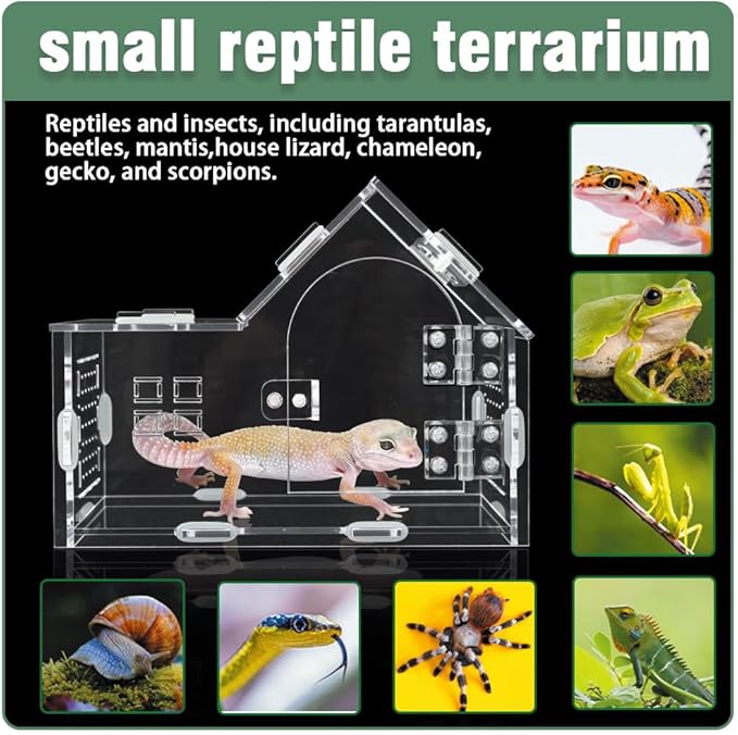 Acrylic Jumping Spider Enclosure - Versatile Reptile Enclosure with One-Click Magnetic Closure, Perfect for Tarantula, Gecko, Chameleon, Beetle, Mantis, and Hermit Crab-PawvioPets