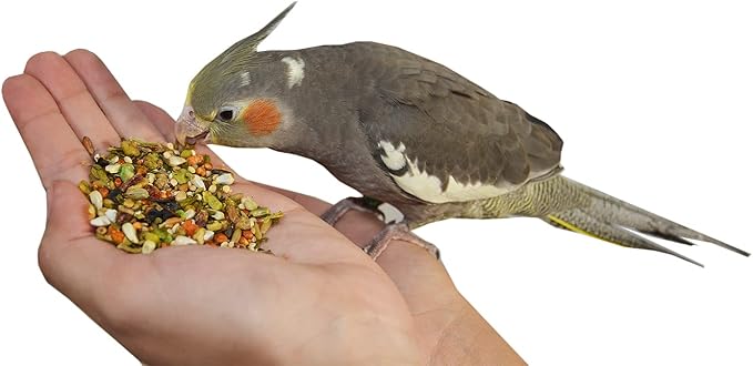 Birds LOVE All Natural Garden Blend Bird Food for Medium Birds - Cockatiels, Green Cheek Conures, Ringneck Parakeets and Small Quakers 2lb-PawvioPets