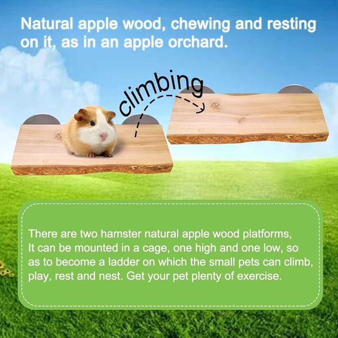 2Pcs Hamster Ledges Wooden Platform Rat Climb Platform Shelf Bird Perch Stand Toys Cage Accessories for Rat Squirrel Gerbil Suger Glider 2.6" X 5.9"-PawvioPets