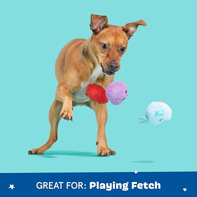 Barkbox Wild Berry Bunch Multi Part Toy for Dogs and Puppies - Small Breeds-PawvioPets