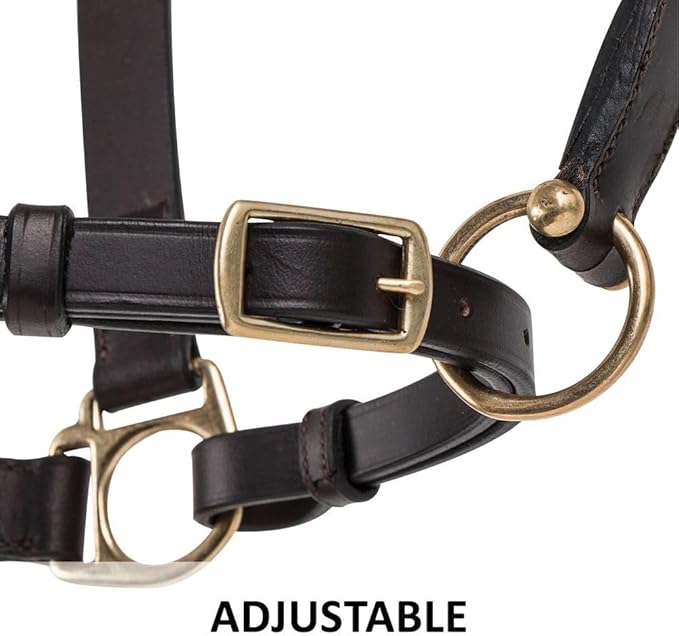 Dura-Tech Premier Lancaster Leather Halter for Horses | Simple Economy Leather Halter with Adjustable Fit & Solid Brass Hardware-PawvioPets