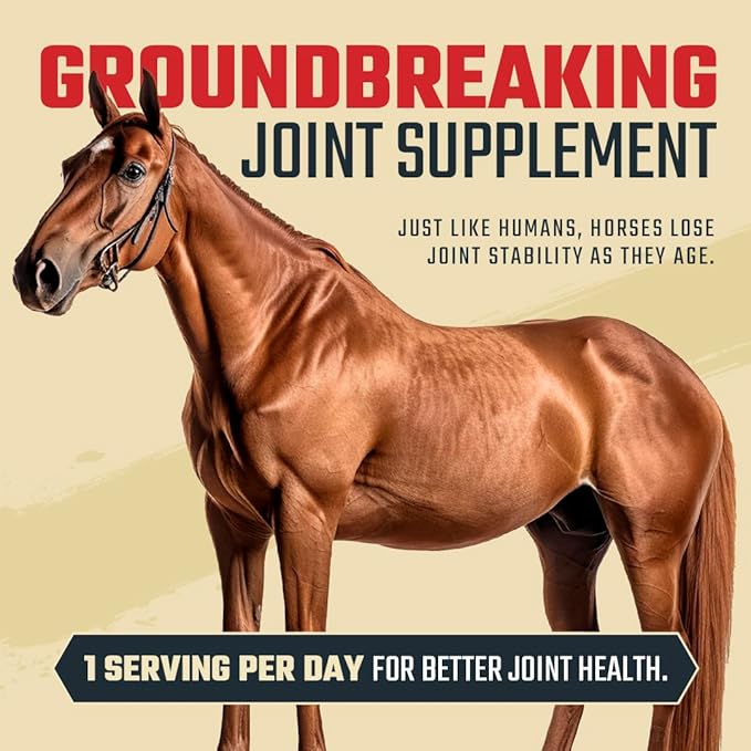 8 in 1 Maximum Strength Equine Joint Supplement - Joint Supplement for Horses - Glucosamine, MSM, Chondroitin, Turmeric, Hyaluronic Acid, Manganese, & Boswelia - 964g (30 Servings)-PawvioPets