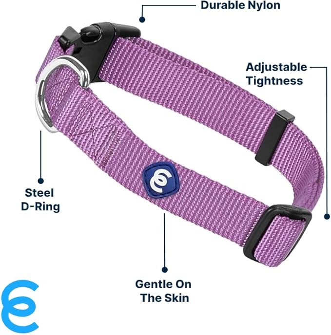 Blueberry Pet Essentials Matching Medium Dog Collar | Adjustable Classic Solid Color Nylon Dog Collars for Medium Dogs | Purple Dog Collar for Medium Dogs-PawvioPets