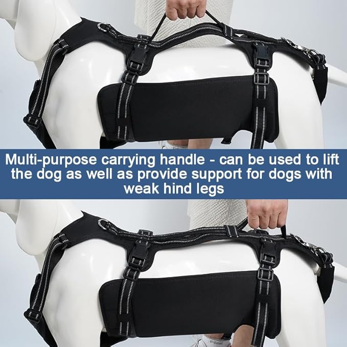 Coodeo Dog Lift Harness, Support & Recovery Sling, Pet Rehabilitation Lifts Vest Adjustable Breathable Straps for Old, Disabled, Joint Injuries, Arthritis, Paralysis Dogs Walk (Black,M)-PawvioPets