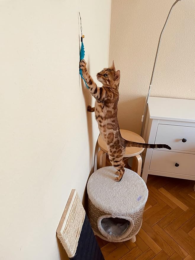 24 PCS Cat Worm Toy Refills Cat Wand Toy Replacement Interactive Wand Accessories Feather Worm Teaser Refills Attachment-PawvioPets