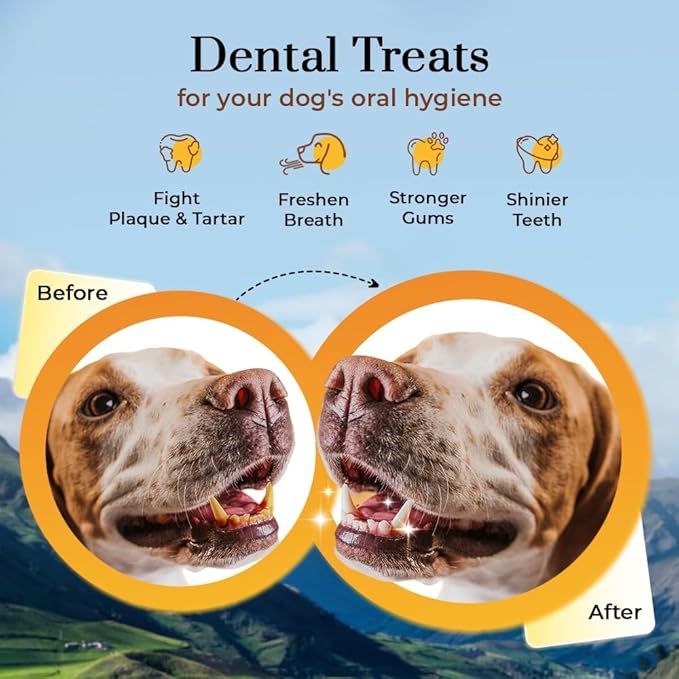 Dogsee Original Himalayan Yak Cheese Dog Chews (Small - 3 Bars) | Fights Plaque and Tartar| Yak Chews for Small Dogs | Rawhide Free | Easily Digestible Dog Treats-PawvioPets