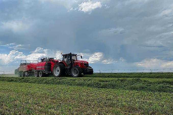 Bunny Honey Organic Alfalfa Hay for Guinea Pigs 12 lb Dim wt/5 lb High-Protein & Calcium, Supports Growth & Dental Health, Fresh & Nutritious-PawvioPets