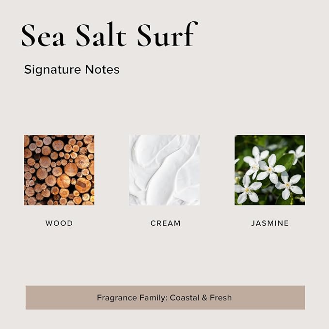 Broken Top Botanical Car Air Freshener Variety Pack, 6 Pack (2 Coconut Sandalwood, 2 Saguaro Cactus, 2 Sea Salt Surf)-PawvioPets