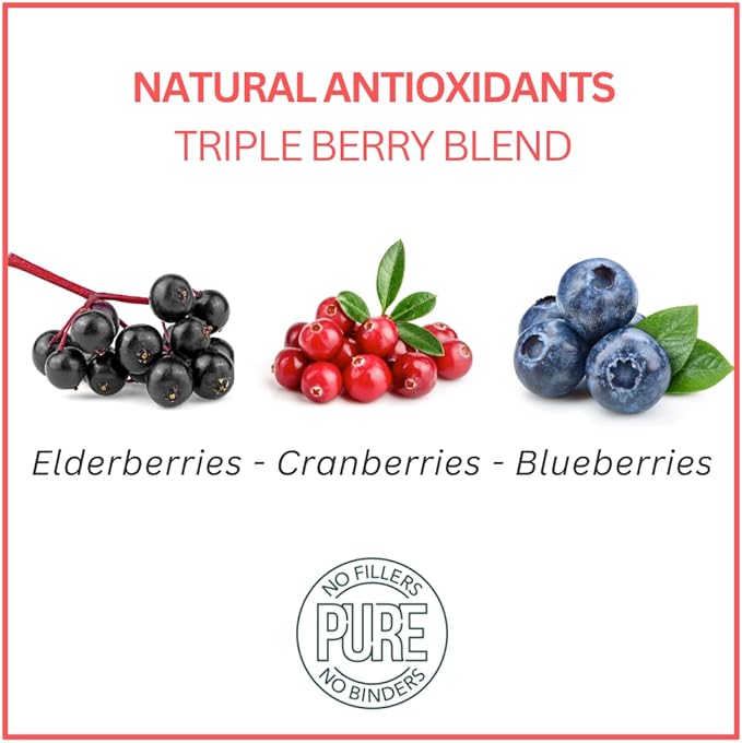 Bench & Field Holistic Natural Turkey & Triple Berry Dog Treats | Crunchy Bone-Shaped Bites | Antioxidant Blend, 10-Ounce Bottle-PawvioPets