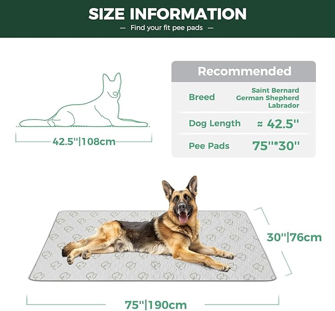 FXW Washable Pee Pads for Dogs, Puppy Pads with Super Absorbent, Specifically Designed for Potty Training, 70" × 30" Rectangle, Khaki, 1 Pack-PawvioPets