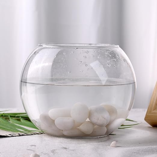 DomeStar 2.7lb White River Rocks, Polished Pebbles Decorative White Stones for Landscaping Vase Filler Fish Tank Aquariums Garden Outdoor and Indoor DIY-PawvioPets