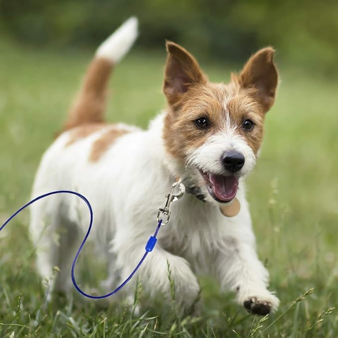 BV Dog Tie Out Cable 15 Feet - Heavy Duty Dog Lead Up to 60 Pounds - Reflective & Rust-Free with Quick Release Swivel Clips & 360° Rotating Clasp - Tangle-Free Dogs Runner for Yard (Blue, Single)-PawvioPets