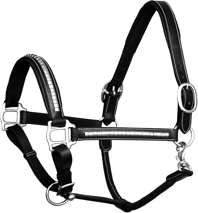 Exion Leather Horse Halter with Padding & Clincher Studs – Adjustable Quick‑Release Crownpiece Halter for Horses – Vegetable‑Tanned Leather in Black & Brown – Cob, Full & Oversize-PawvioPets