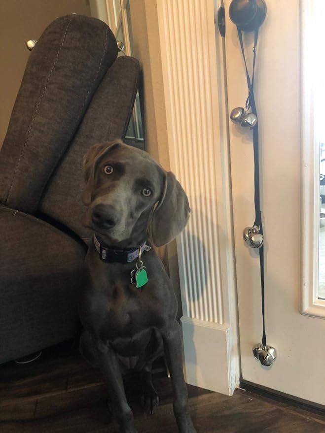 Dog Doorbells for Potty Training/Door Knob/Go Outside, Premium Quality Dog Bells, 7 Extra Large Loud 1.4 DoorBells, Adjustable Door Bell, Training Your Puppy The Easy Way-PawvioPets