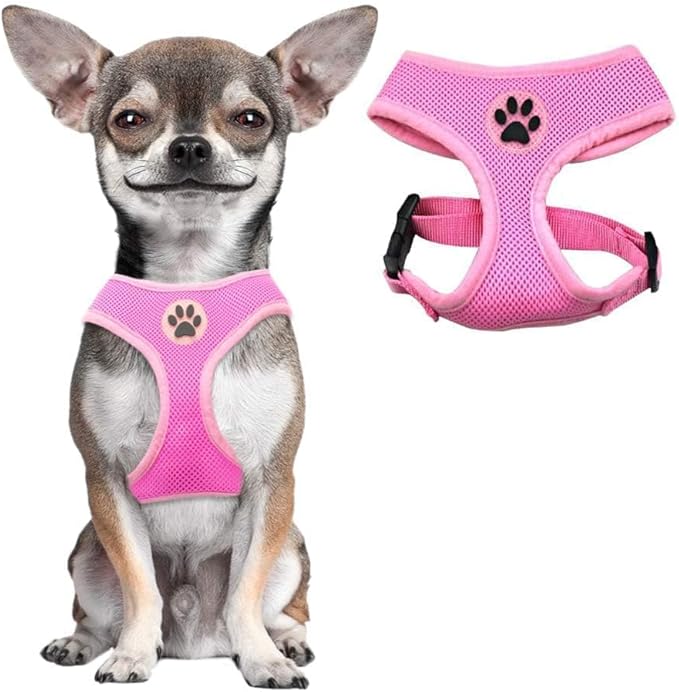 BINGPET Small Dog Harness - Breathable Mesh Puppy Cat Harnesses - No Pull Adjustable Dog Harness Dog Vest Harness for Small and Medium Dogs-PawvioPets