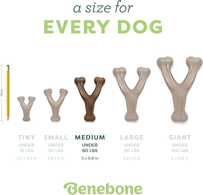 Benebone Wishbone Durable Dog Chew Toy for Aggressive Chewers, Real Bacon, Made in USA, Medium-PawvioPets