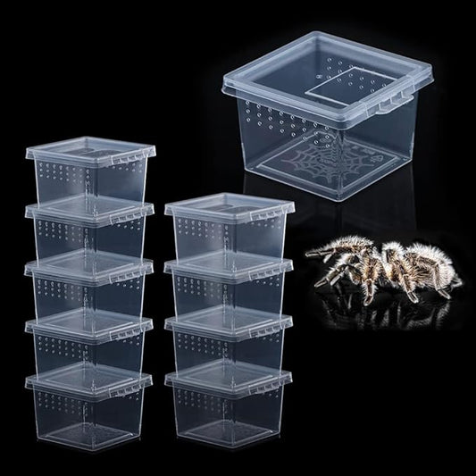 10 Pcs Insect Spider Terrariums Breeding Box Hatching Container Small Reptile Scorpion Centipede Acrylic Breeding Box (Small Size)-PawvioPets
