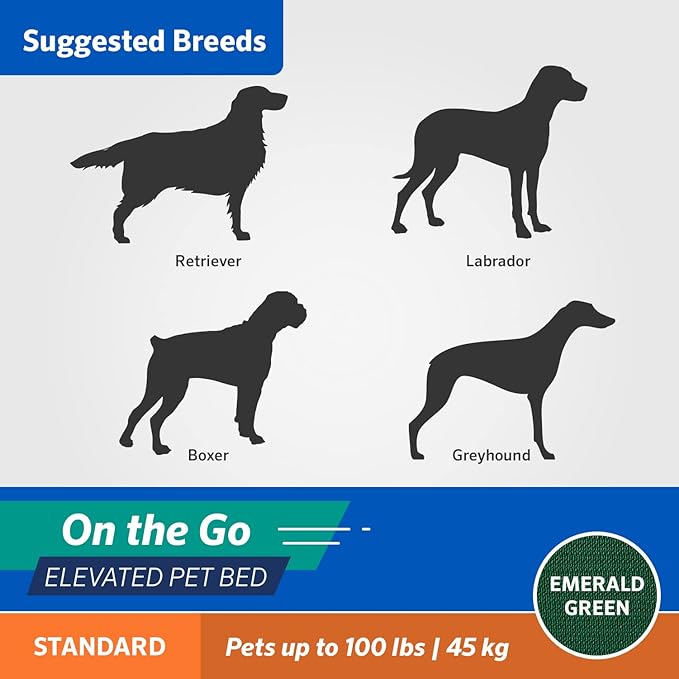 Coolaroo On-The-Go Elevated Dog Bed - Foldable Pop-Up Travel Dog Bed with Breathable, Moisture-Resistant Fabric, Carry Bag Included, Lightweight & Portable, Emerald Green, Large-PawvioPets