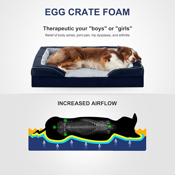 FURTIME Orthopedic Dog Bed for Small Dogs - Waterproof Dog Sofa Beds Small, Supportive Foam Pet Couch Bed with Removable Washable Cover, Waterproof Lining and Nonskid Bottom, Navy Blue-PawvioPets