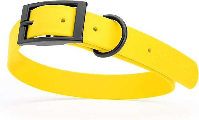 Dogline Biothane Waterproof Dog Collar Strong Coated Nylon Webbing with Black Hardware Odor- Proof for Easy Care Easy to Clean High Performance Fits Small Medium or Large Dogs, Lemon Yellow-PawvioPets
