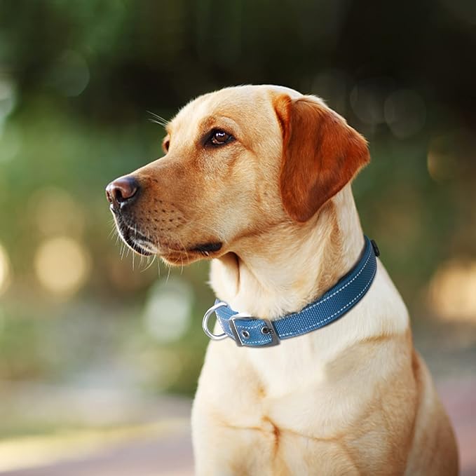 Fida Heavy Duty Dog Collar, Ultra Comfortable Soft Neoprene Padded, Adjustable Reflective Nylon Pet Collar with Durable Metal Belt Buckle for Large Breeds (L, Blue)-PawvioPets