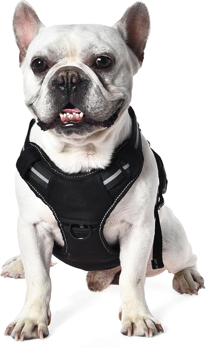 Amazon Basics No Pull Dog Harness, Adjustable Front Clip, Tactical Vest, Small, Black-PawvioPets