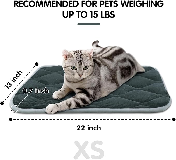 furrybaby Dog Bed Mat Flat Crate Mat with Anti-Slip Bottom Machine Washable Pet Kennel Pad for Dog Sleeping (XS 22x13'', Grey Mat)-PawvioPets