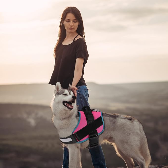 Bolux Dog Harness, No-Pull Reflective Dog Vest, Breathable Adjustable Pet Harness with Handle for Outdoor Walking - No More Pulling, Tugging or Choking Large (Pack of 1) RoseTurquoise-PawvioPets
