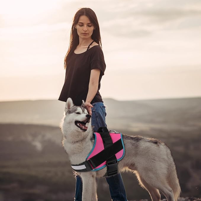 Bolux Dog Harness, No-Pull Reflective Dog Vest, Breathable Adjustable Pet Harness with Handle for Outdoor Walking - No More Pulling, Tugging or Choking Medium (Pack of 1) RoseTurquoise-PawvioPets