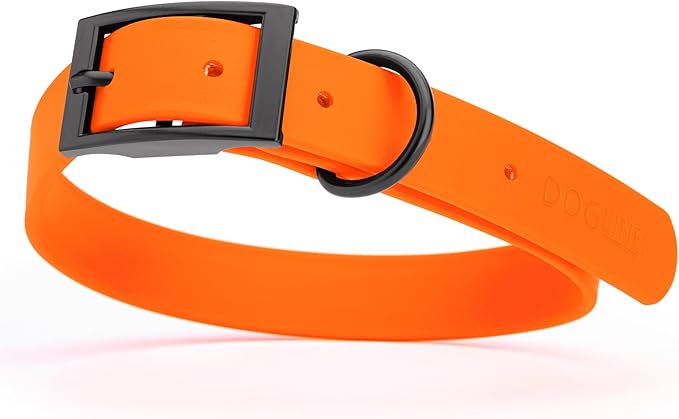 Dogline Biothane Waterproof Dog Collar Strong Coated Nylon Webbing with Black Hardware Odor- Proof for Easy Care Easy to Clean High Performance Fits Small Medium or Large Dogs, Hunter Orange-PawvioPets