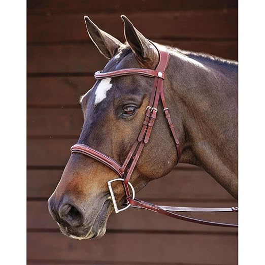 Dover Saddlery Ergonomic Hunter Bridle - Oakbark - Horse-F/S-PawvioPets