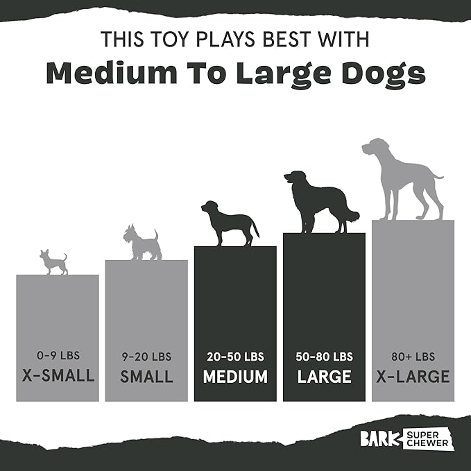 Barkbox Betty Bigfoot Dog Toy for Medium to Large Aggressive Chewers, Durable with Hidden Surprise Toy Inside for Extended Playtime-PawvioPets