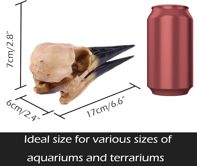 Fish Cave Hideout Ornament Décor for Terrarium Dinosaur Animal Skull Aquarium Large Decorations Betta Tarantula Reptile Snake Decor Bones Halloween-PawvioPets