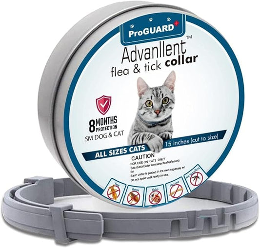 Flea Collar for Cats, Flea and Tick Collars for Cats and Kittens, 8 Month Protection, Gray, 1 Pack CAT-PawvioPets