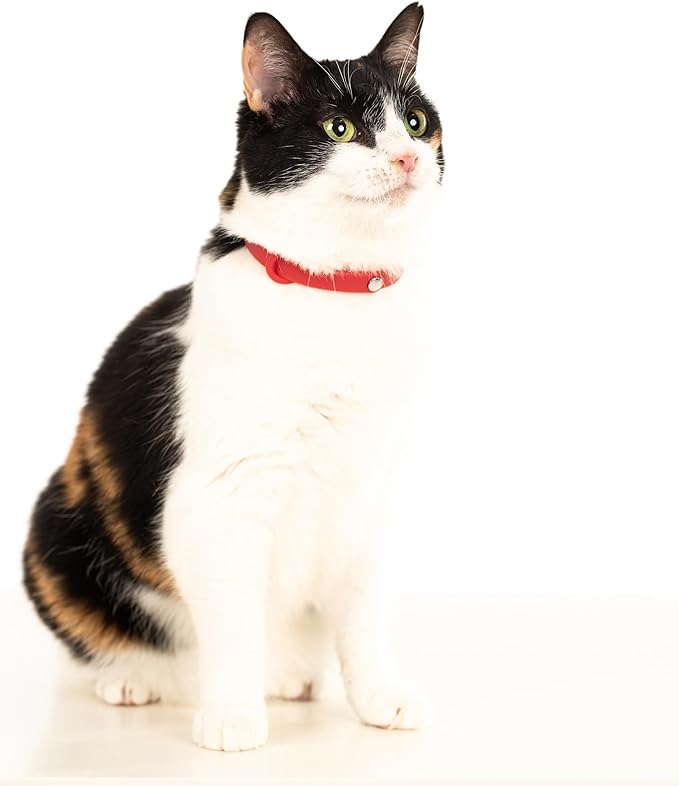 Cat Collar 2 Pack - Soft, Comfortable, and Lightweight Safety Breakaway Collar with Name Tag Ring for Outdoor Cats and Sensitive Skin Kittens by Nuvuq (6 ⅞" to 10 ¼", Red)-PawvioPets