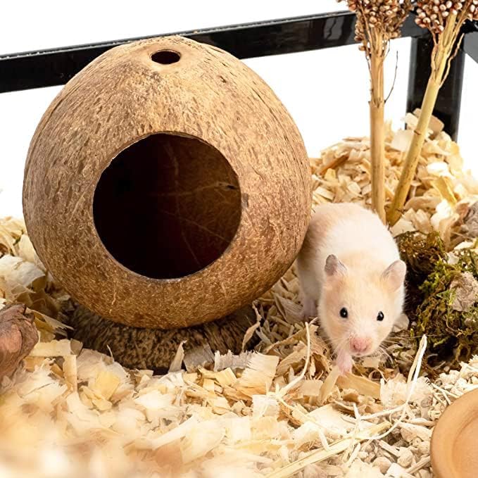 Coconut Hamster Hideout Hamster House Gerbil Cage for Small Animals with a Bundle of Apple Sticks a Carrot (Brown)-PawvioPets