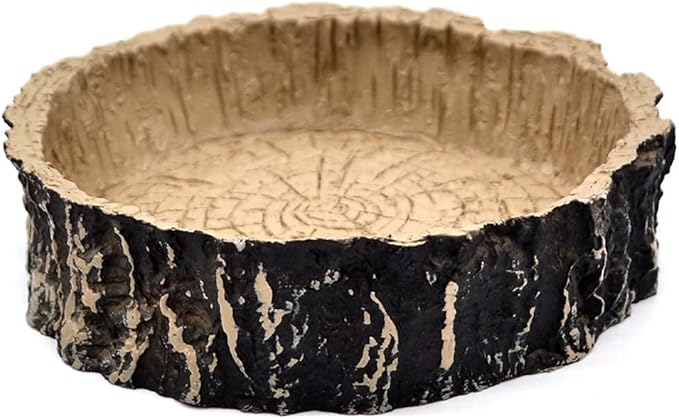 Boa Constrictor Habitat 10 Gallon Terrarium Kit-PawvioPets