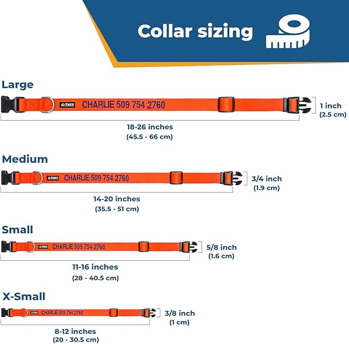 GoTags Personalized Dog Collar, Custom Embroidered with Pet Name and Phone Number in Blue, Black, Pink, Red and Orange, for Boy and Girl Dogs or Cats, Adjustable Sizes, Small, Medium, and Large-PawvioPets