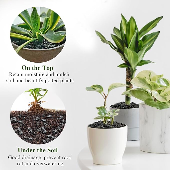 5 lbs Black Lava Rocks for Plants,1/4 Inch Crush Volcanic Rock Pumice Soil Additive for Succulent Aquarium Cactus Bonsai Fire Pits and Garden Landscaping-PawvioPets