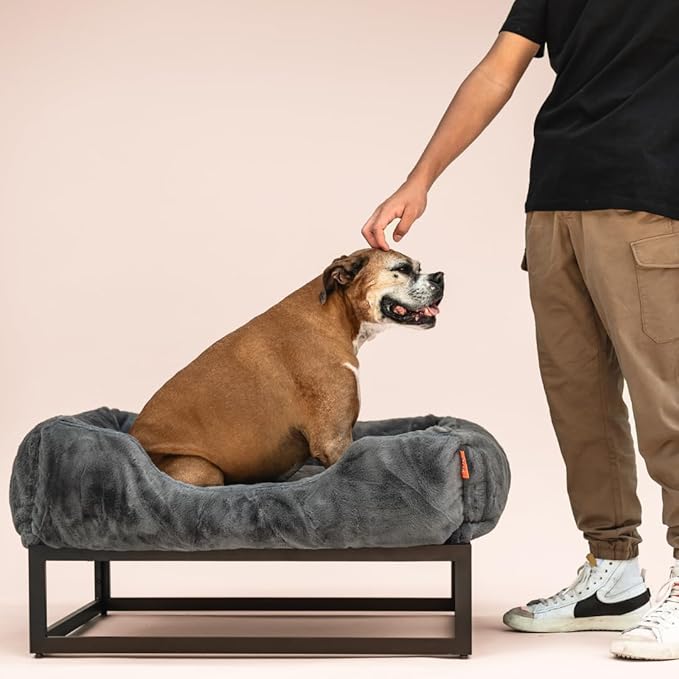 FUZI Luxury Aesthetic Dog Bed for Small Dogs with Washable Cover, Pet Couch, Pet Bed with Sides, Non-Slip Bottom, Soft & Durable Calming Dog Bed, Faux Rabbit Fur Cover, Small 25.1x16.75x9.5 Dark Grey-PawvioPets