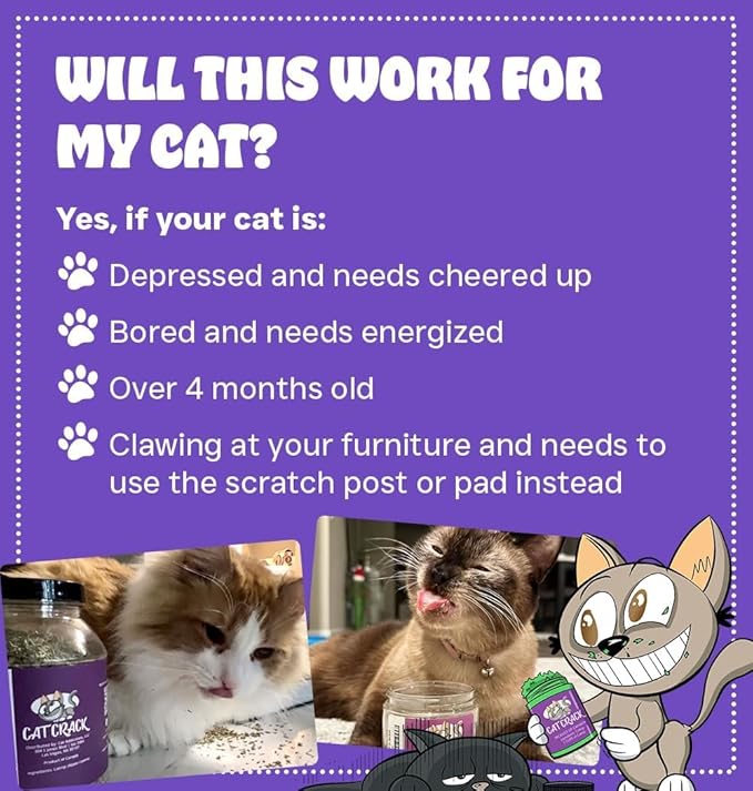 Cat Crack Organic Catnip, 100% Natural Cat Nips Organic Blend That Energizes and Excites Cats, Safe Catnip Treats Used for Cat Play, Cat Training, & New Organic Catnip Toys for Cats(1 Gallon Organic)-PawvioPets