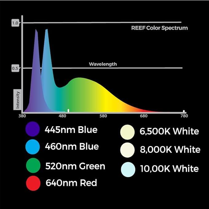 CURRENT USA 48 - 60" Inch Orbit Marine LED Saltwater Reef Marine Aquarium Light | 24 Hour IR Lighting & eFlux Wave Pump Control | Adjustable Color Spectrum for Fish Tank (4103)-PawvioPets