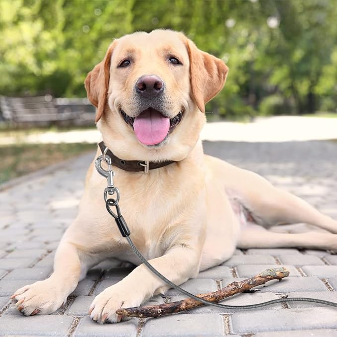 BV Dog Tie Out Cable 25 Feet - Heavy Duty Dog Lead Up to 250 Pounds - Reflective & Rust-Free with Quick Release Swivel Clips & 360° Rotating Clasp - Tangle-Free Dogs Runner for Yard (Grey, Single)-PawvioPets