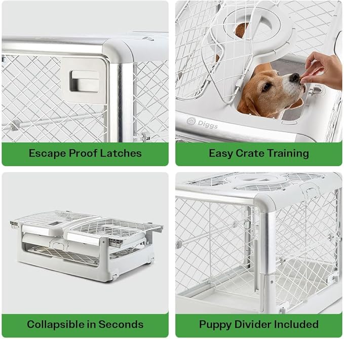 DIGGS Revol Collapsible Dog Crate with Wheels - Premium Portable Dog Crate - Safe, Stylish, and Convenient Indoor Kennel (Ash, Medium)-PawvioPets