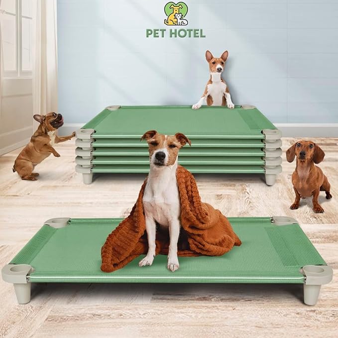 Acrimet Cooling Elevated Pet Dog Bed, Washable and Breathable Mesh Cot, Stainless Steel Frame, Indoor & Outdoor Use, fits Dogs up to 110 lbs (Size: 40” x 24”), Green, 1 Unit-PawvioPets
